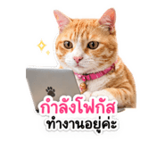 840801031