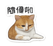 840801200
