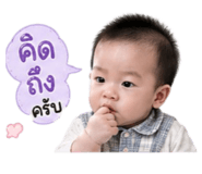 840801204