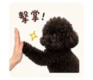 840801490