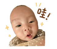 840801833