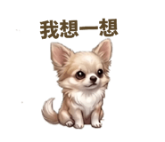 840802025