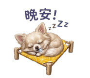 840802027