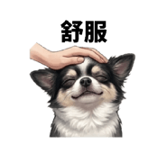 840802031