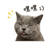 840802291