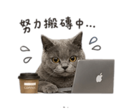 840802309
