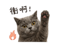 840802313