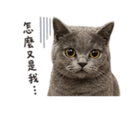 840802315