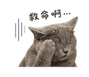 840802318