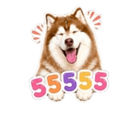 840802683