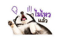 840802689