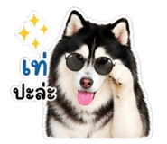 840802690