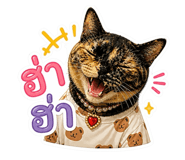 840802720