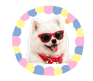 840802894