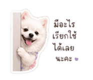 840803120
