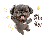 840803368