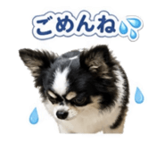 840804107