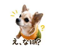 840804315