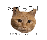 840804671