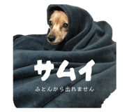 840804676