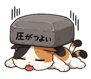 840805020