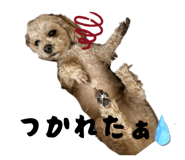 840805083