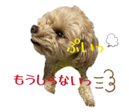 840805085