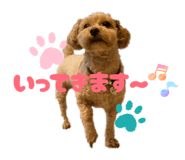 840805091