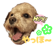 840805095