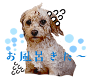 840805104