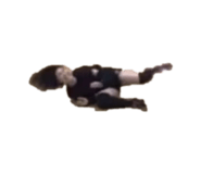 840805160