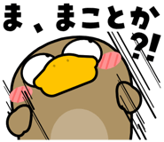 840805310