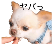 840805400