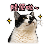840805572