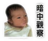 840805676