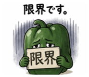 840805755