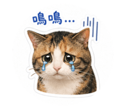 840806375