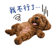 840806597