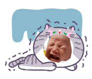 840808194