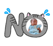 840808196