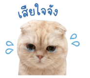 840808281