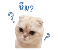 840808284