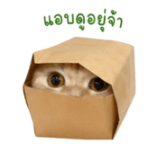 840808289
