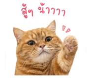 840808304