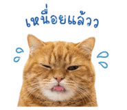 840808306