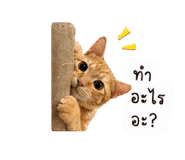 840808355