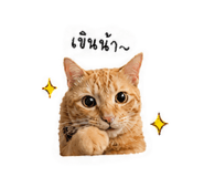 840808367