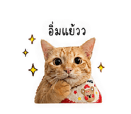 840808368
