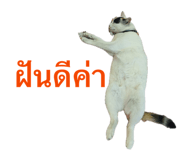 840808526