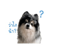 840808983